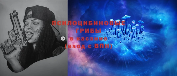 a pvp Абаза