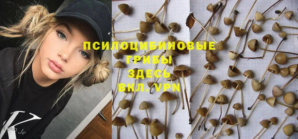 хмурый Абинск