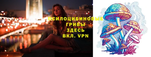 хмурый Абинск