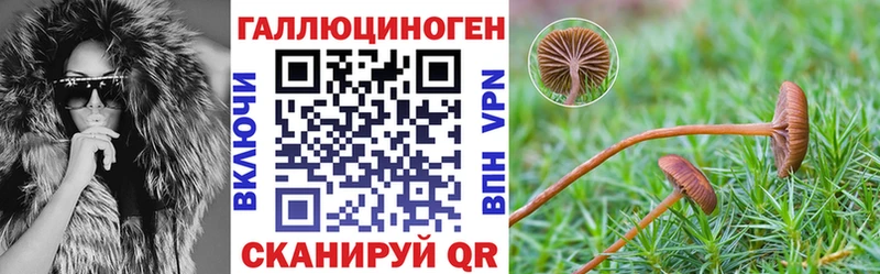 Псилоцибиновые грибы Cubensis Янаул