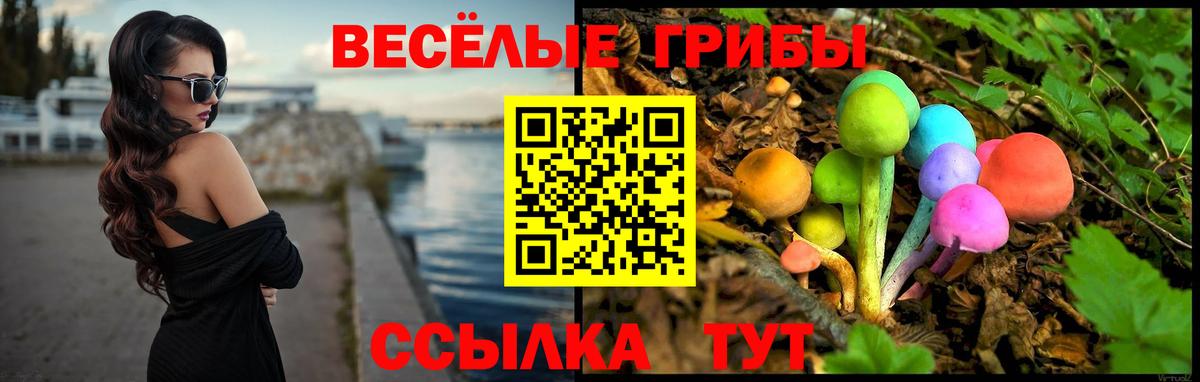 Псилоцибиновые грибы Magic Shrooms  Вход с VPN  Янаул 