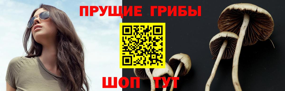Псилоцибиновые грибы Magic Shrooms Янаул